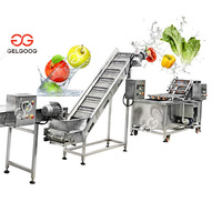 Gelgoog Auto Bramen Reinigingsapparatuur Citroenwasmachine Dragon Fruit Bessen Watermeloen Wasmachine