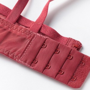 Ropa Interior Femenina al por Mayor, Sujetador Transparente de Encaje Hueco, Diseño Sexy con Lazo, Sujetador de Talla Grande para Mujer - Product Image 4