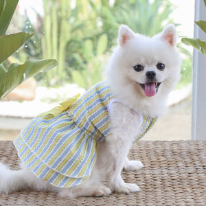 Rarewe Pet Acessórios Designer <span class=keywords><strong>Cat</strong></span> Dog Vestidos Roupas Logotipo Personalizado Bonito Primavera Verão Bow-Tie Vestido para Pequeno Cão Pomeranian - Product Image 5