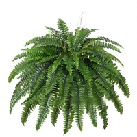 Tanaman Buatan Lintas Batas Mirip Pakis dengan 88 Daun Boston Fern. Dekorasi Tanaman Berbunga.