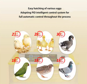 Thương hiệu tự động kép năng lượng mặt trời 100 trứng lồng ấp công suất <span class=keywords><strong>200</strong></span> YZ-112 - Product Image 4