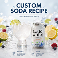 Vente en gros à bas prix 330ml de boisson gazeuse en conserve sans alcool à saveur de fruit eau gazeuse boisson gazeuse soda