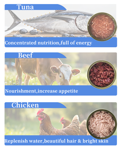 Alimento Húmedo Enlatado para Gatos al por Mayor, Carne Real, Sin Aditivos, Dieta Equilibrada, Comida Enlatada para Gatitos y Adultos - Product Image 5