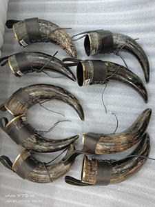 Meilleure qualité Buffalo artisanat naturel corne à boire avec jantes en laiton étui en cuir d'agate décorations de style musical prix de gros - Product Image 5