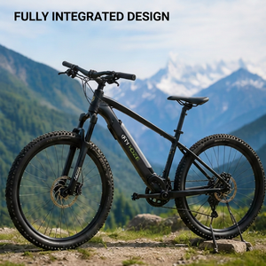Nouvelle batterie pour vélo électrique 48V SAN YANG II 48V 7.8Ah 8.7Ah 10.5Ah, style tube interne, pour vélo électrique Ultra Bee - Product Image 5