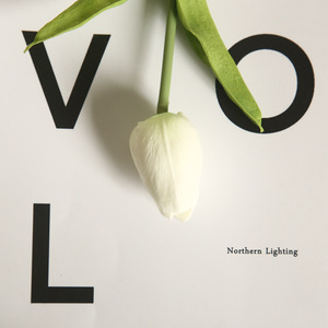 M628 fleurs de tulipes artificielles bon marché, <span class=keywords><strong>tulipe</strong></span> pu au toucher réel pour décoration de fête de mariage, maison hôtel - Product Image 5