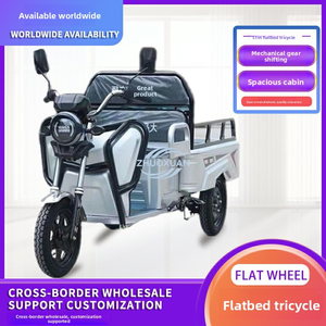 Portable Heavy Load Electric Tricycle Flexible Mover <b>Passenger</b> Cargo Dual Use Car - Product Image 3