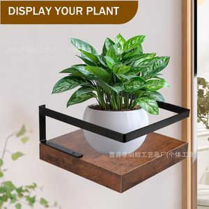 Wooden Wall Mounted Planter Stand <b>Rectangle</b> 1 Layer For <b>Potted</b> <b>Plant</b> Display - Product Image 1