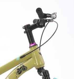 Fourche avant personnalisable à absorption des chocs pour <span class=keywords><strong>VTT</strong></span> enfant (garçon/fille) à vitesse unique en acier haute teneur en carbone pour la conduite en extérieur - Product Image 6