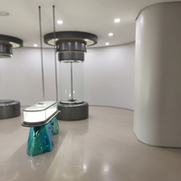 Vitrine d'exposition rectangulaire en plastique renforcé de fibres de verre de haute qualité avec éclairage LED pour musées et commerces