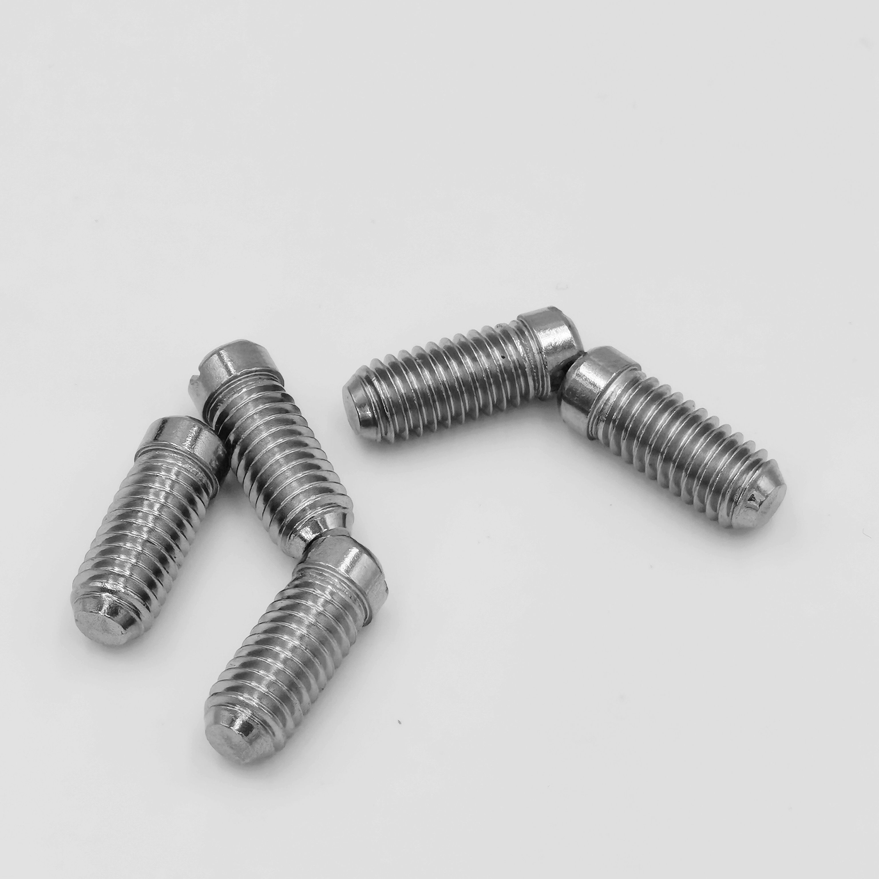 OEM Customized M3 M4 M5 M6 Plastic Dog Point Hex Socket Grub Screws