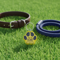 Anpassbares Logo QR-Code URL Programmierbarer RFID NFC T5577 Mini-Tag Wasserdichtes Haustier-ID-Halsband für Hunde/Katzen