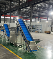 Full Set Gebakken Knapperige Uienchips Sjalotvlokken Frituurmachine Gebakken Uienringen Productielijn