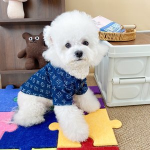 Chemise en jean à manches courtes pour chiens et chats, légère, pour le printemps et l'été, pour petites et moyennes races, Teddy Bichon Yorkshire Terrier - Product Image 3