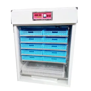 Eggs Incubator Machine Automatic Quail Egg Incubator Thermostat For Egg Incubator