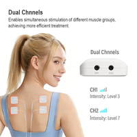 Stimulateur musculaire et nerveux multifonctionnel certifié CE, appareil de physiothérapie pour soulager la douleur, machine TENS et EMS