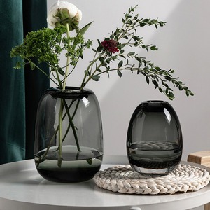 Florero de Vidrio Hidropónico Minimalista Moderno, Florero de Mesa Decorativo de Alta Calidad - Product Image 2