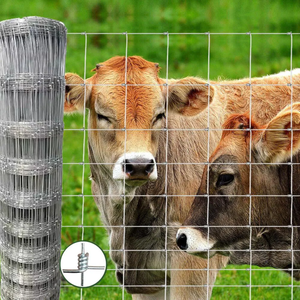 Red Antivuelco Galvanizada con Anillas de Hierro para Ganado, Ovejas y Ciervos, Valla para Ranchos y Pastizales - Product Image 6