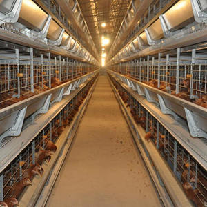 Professional <strong>Engineering</strong> Design Prefabricated House Steel <strong>Structure</strong> Frame <strong>Building</strong> - Product Image 1