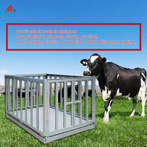 <span class=keywords><strong>เครื่อง</strong></span><span class=keywords><strong>ชั่ง</strong></span>น้ำหนักดิจิตอลปศุสัตว์ขนาด1000กก. - Product Image 3