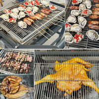 Grill à charbon de bois rotatif pliable en métal de haute qualité, durable, grande capacité, commercial, polyvalent, antiadhésif, pour le camping