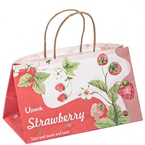 Factory Supplier Shopping <b>Biodegradable</b> Shopping <b>Paper</b> Bag with logo Orange Gift Bag - Product Image 5