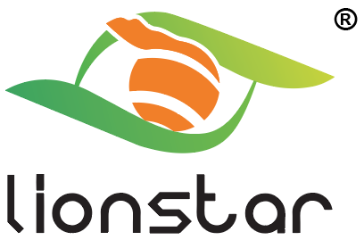 Shenzhen Lionstar Technology Co., Ltd.