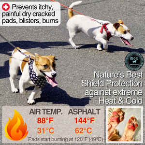 Oem/odm Private Label Natural Lamber-safe Dog <span class=keywords><strong>Paw</strong></span> Protector Hidratante Cão <span class=keywords><strong>Paw</strong></span> Balm para Seco Rachado Almofadas - Product Image 2