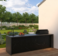 Cuisine extérieure noire avec évier, station de cuisson modulaire moderne pour la rénovation élégante de votre patio arrière-cour