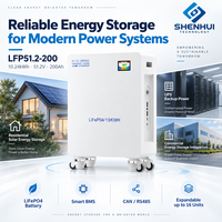 Batterie de stockage solaire 51,2 V 200 Ah LiFePO4 au lithium avec BMS intelligent CAN RS485 pour solution énergétique domestique