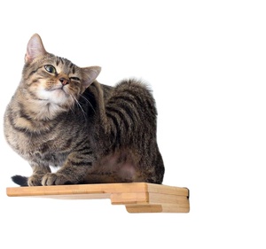 New Manufacturer Wholesale Wooden Cat Furniture Tree Cat Climbing Track Wall Mounted Shelves Wooden Cat Step Shelf