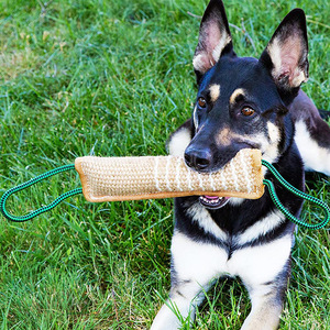 Bâton de dressage pour chiens en jute et chanvre de haute qualité, idéal pour les chiens de travail, avec 2 poignées robustes - Product Image 4
