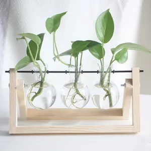 hidroponik vazo cam Suppliers-Modern yaratıcı şeffaf yuvarlak masaüstü hidroponik bitkiler vazolar cam ahşap ev dekor için standı