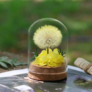 Bomboniere Artigianali per Matrimoni e Feste, Fiori di Tarassaco Conservati Sotto Cupola di Vetro, Decorazioni per Tavoli, Regali Floreali Preservati - Product Image 5