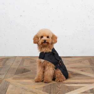 Hundebett und Hundesofa aus Holz mit wasserabweisender Matratze, erhöhtes Haustierbett für kleine bis mittelgroße Hunde mit beruhigender Matratze - Product Image 5