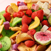 OEM Groenten Snacks Gedroogd Fabrieksprijs Vriesgedroogd Fruit Snack Gezonde Snacks Gedroogde Groenten Gedroogd Fruit