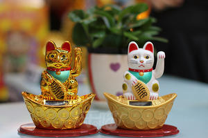 2023 <span class=keywords><strong>chat</strong></span> agitant populaire Fortune Lucky Cat <span class=keywords><strong>chat</strong></span> de richesse chanceux pour porter <span class=keywords><strong>chance</strong></span> - Product Image 3