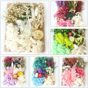 Venta al por mayor Diy Hortensia preservada Gypsophila flores secas en relieve bolsa de flores secas para la decoración del hogar/boda - Product Image 5