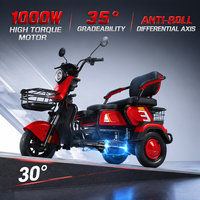 Tricycle Électrique 3 Roues 1000W d'Usine OEM, Scooter de Loisirs Robuste 200KG, Triple Frein, 3 Passagers, Carrosserie Ouverte, CE