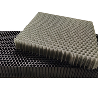 Grille de diffuseur de débit d'air en nid d'abeille en polycarbonate PC personnaliser 3.5mm
