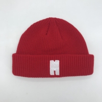 Unisex beanie met aangepast 3D geborduurd fruit/figuurontwerp - Veel kleuren, modieus, voor buiten, houdt warm