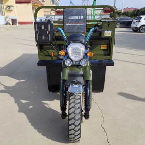 Three Wheeler Engine Motorcycle Tricycle Gasoline Trike Motorized Tricycles <strong>250cc</strong> 300cc - Product Image 2