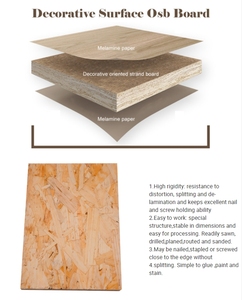 <span class=keywords><strong>Tablero</strong></span> <span class=keywords><strong>OSB</strong></span> Impermeable de 18 mm para Construcción Duradera, Superficie Acabada con Resistencia a la <span class=keywords><strong>Humedad</strong></span> y Resistencia - Product Image 6
