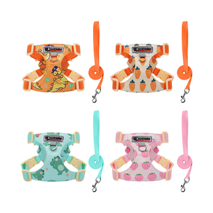 Harnais pour chien en polyester respirant et réfléchissant, style gilet en maille aérée, personnalisable avec boutons, collier et laisse inclus – Grande Vente - Product Image 6