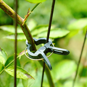 Attache <span class=keywords><strong>de</strong></span> <span class=keywords><strong>jardin</strong></span> écologique pour serre, pince <span class=keywords><strong>de</strong></span> fixation pour poteau <span class=keywords><strong>de</strong></span> tomate, support <span class=keywords><strong>de</strong></span> tige pour plantes, fleurs et semis, clip <span class=keywords><strong>de</strong></span> greffage - Product Image 6