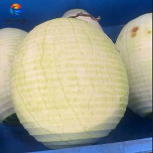 FXP-99 Dubbele Kop Fruitschiller Automatische Rockmelon Broodvrucht Jackfruit Watermeloenschilmachine - Product Image 4