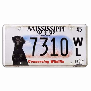 <span class=keywords><strong>Targa</strong></span> personalizzata con foto di cane amo il mio cane in metallo etichetta personalizzata anteriore del proprietario amante dell'<span class=keywords><strong>auto</strong></span> foto regalo 12x6 pollici - Product Image 1