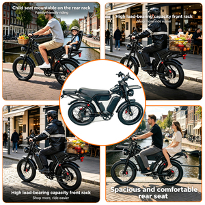 Wholesale Ebike 52V 40Ah Dual Lithium Batteries Long Range E-bike Front Rack Extended Comfort Dual Seats Fat Tire <b>Electric</b> Bike - Product Image 2