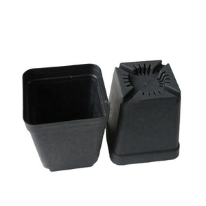 Factory Low Price Wholesale Thick Small Black Square Fleshy Succulent Plastic Plant Pots