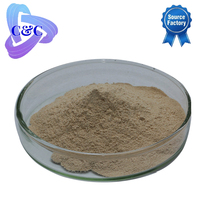 Poudre d'enzyme Pancréatine/Trypsine de haute qualité 4000 U/g, qualité alimentaire, complément de santé, CAS 8049-47-6, pour la santé digestive